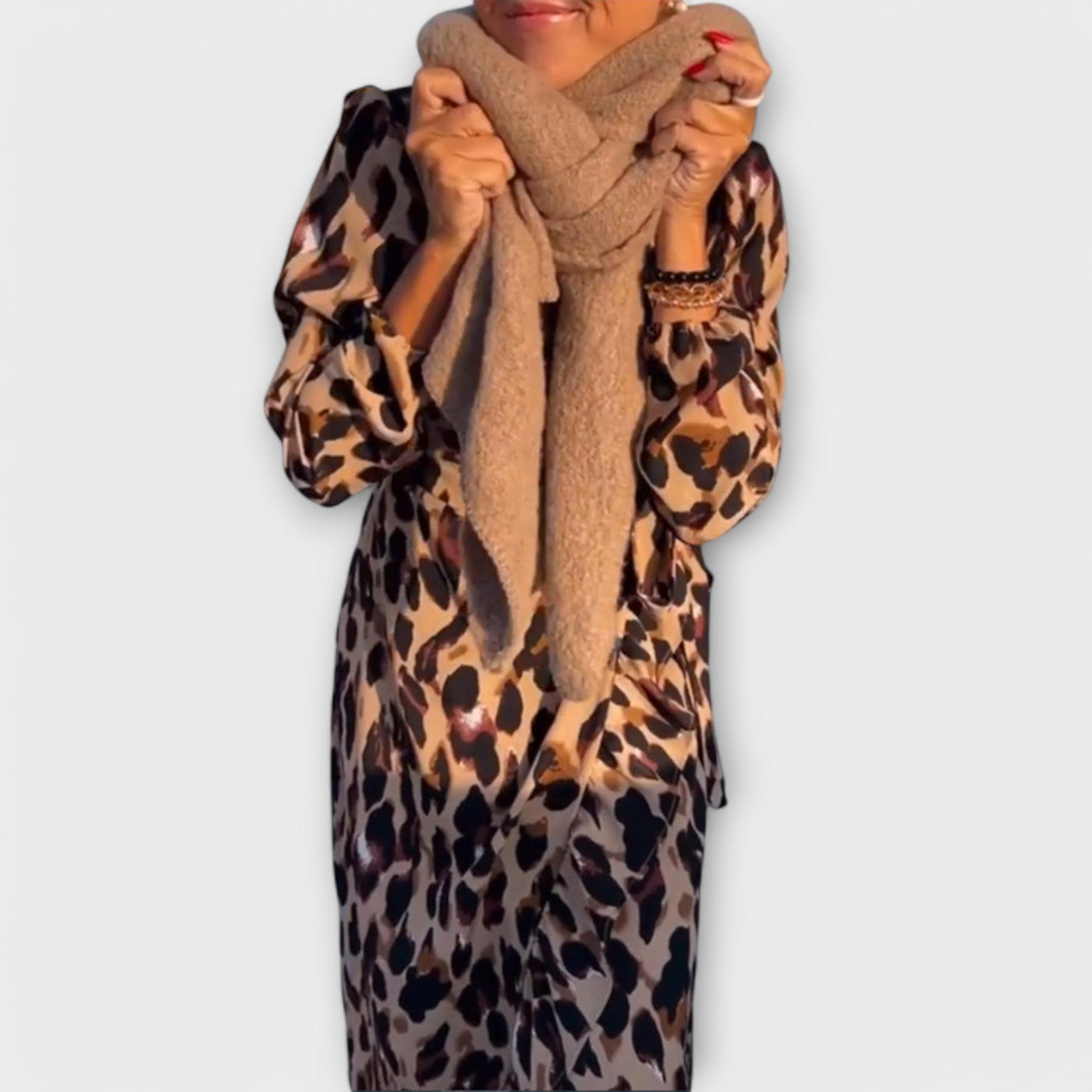 Cassie | Leopard Print V-Neck Dress